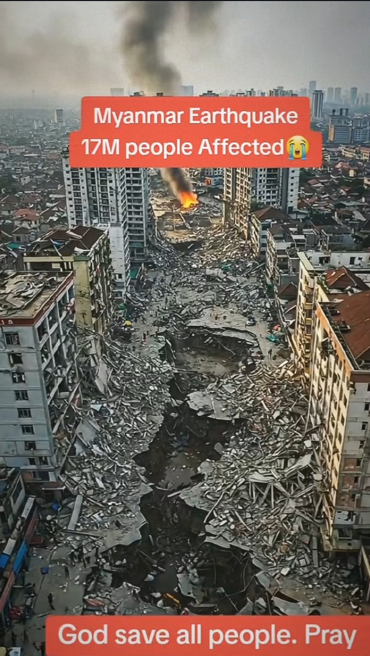 1743578392948.jpeg