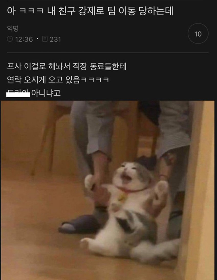 17435793202087.jpeg