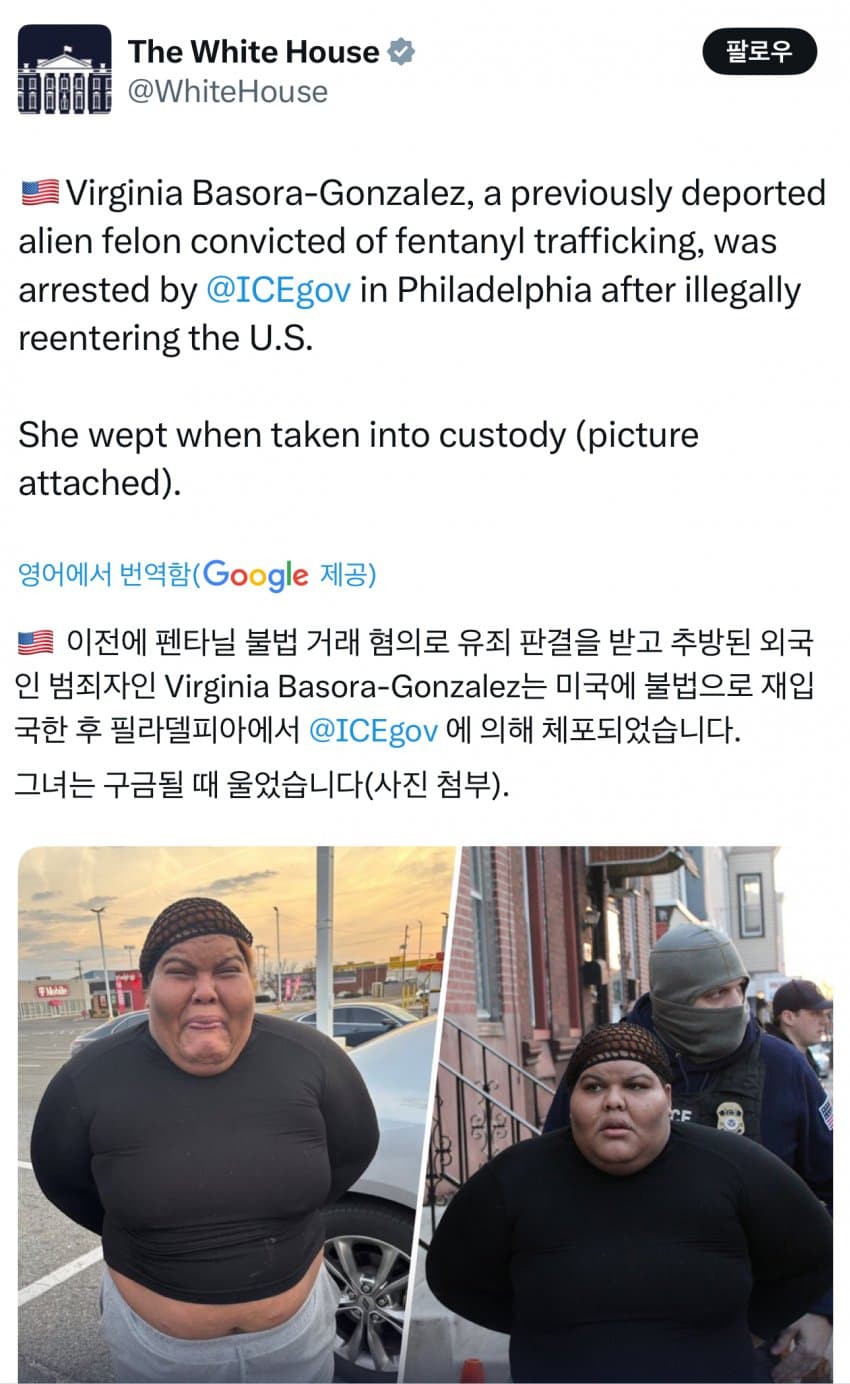 17435798494282.jpeg