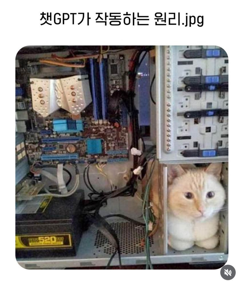 17435799502208.jpeg