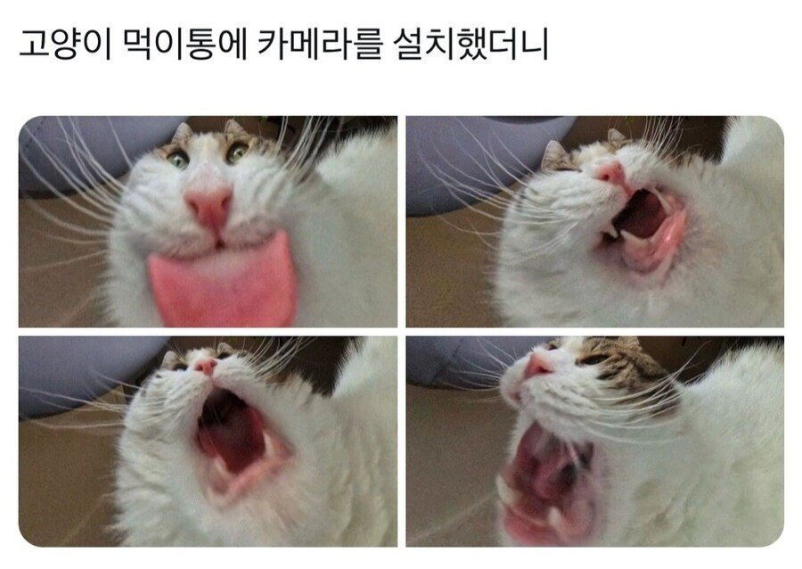 17435805684205.jpeg