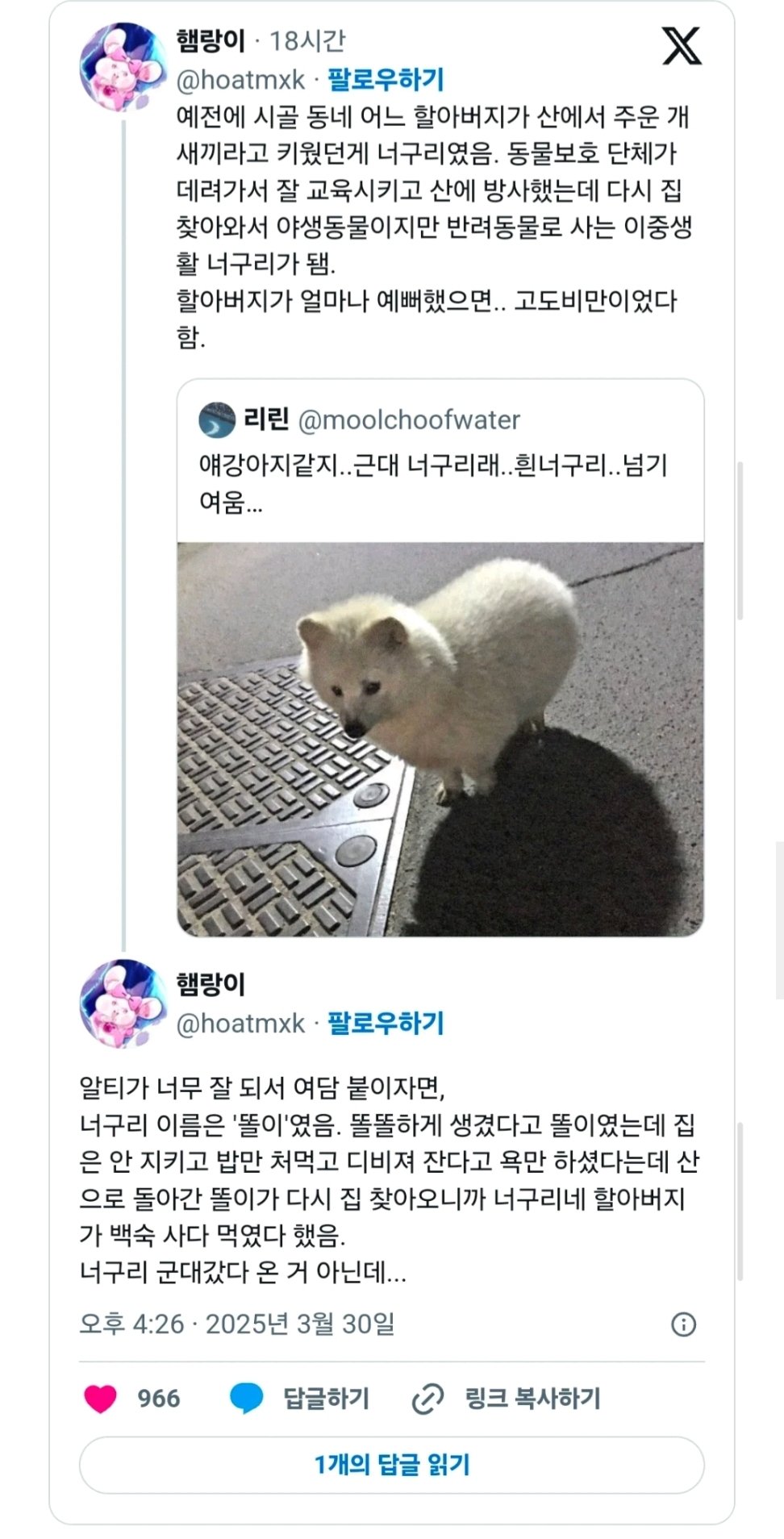 17435806603055.jpeg