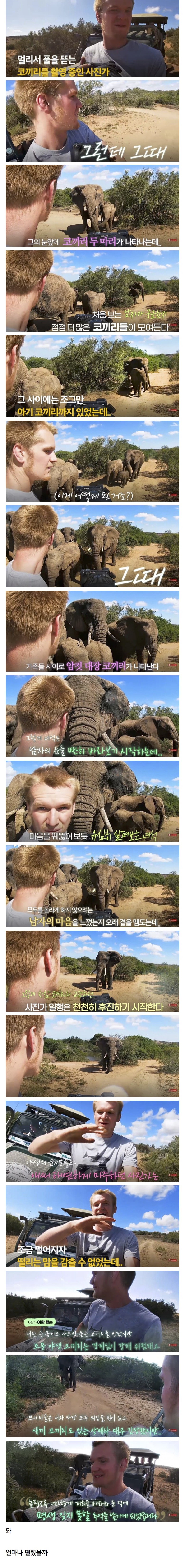 17435850858326.jpeg