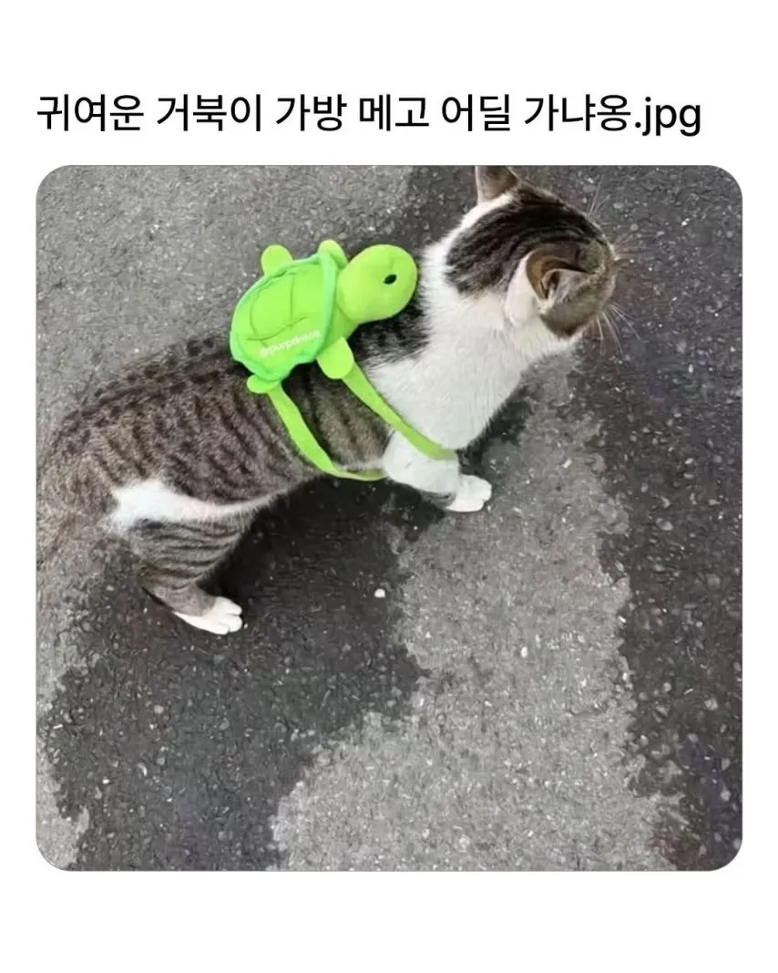 17435855171656.webp