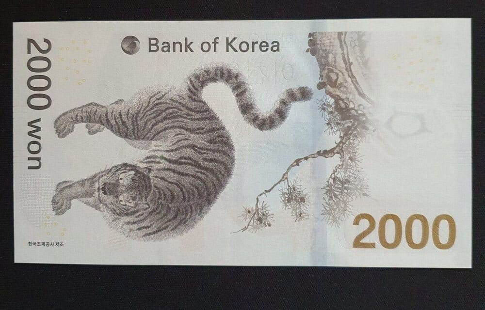1743586449156.jpeg