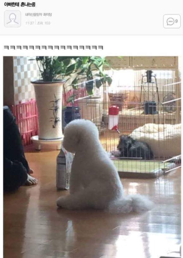 17448777345025.jpeg