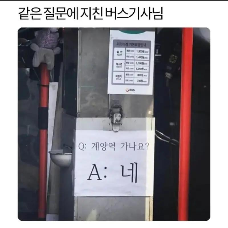 17448790379617.jpeg