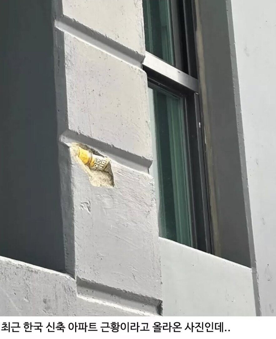 17448826384687.jpeg