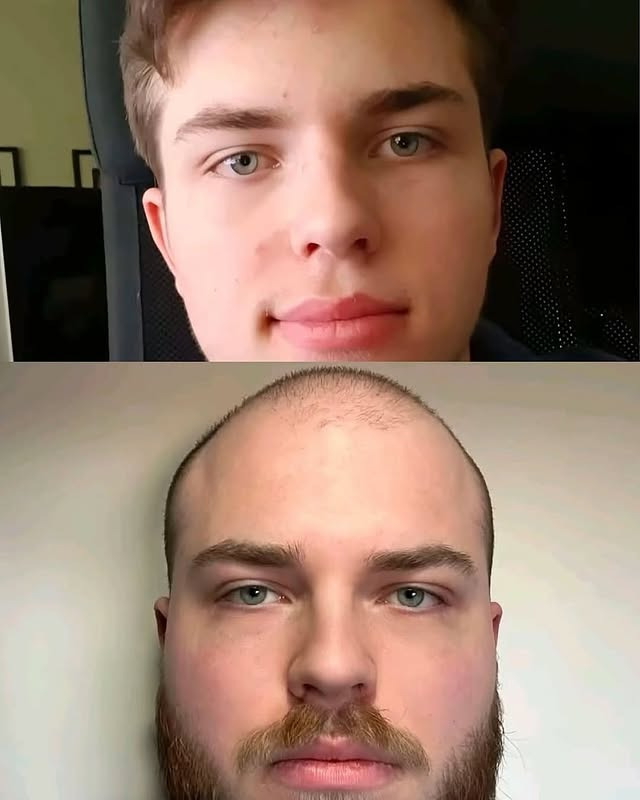 17448852959145.jpeg