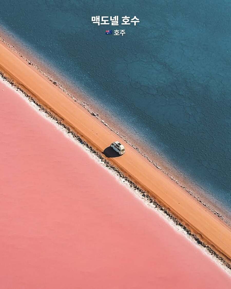 17455500517811.jpeg