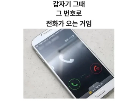17455526884007.png