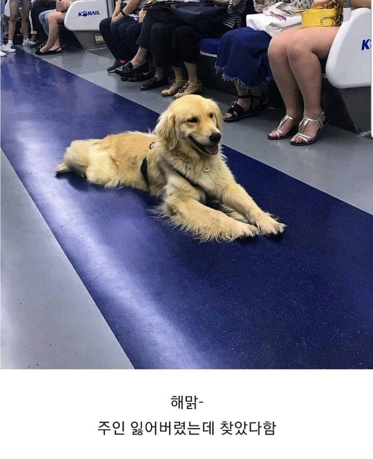 17455541440206.jpeg
