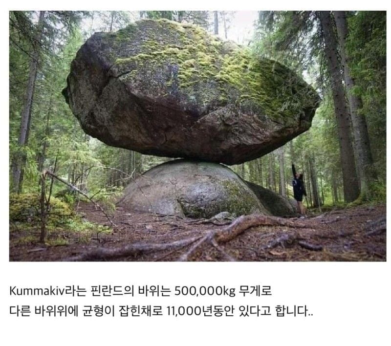 17455577502766.jpeg