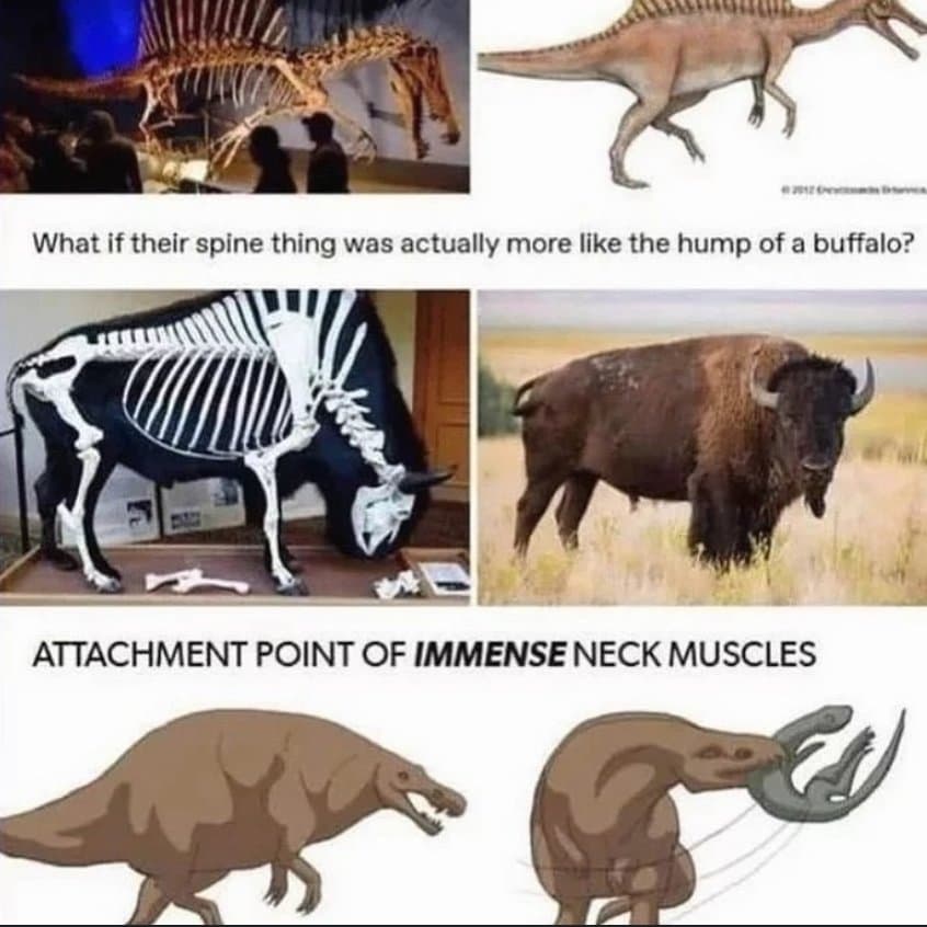 17455582422497.jpeg