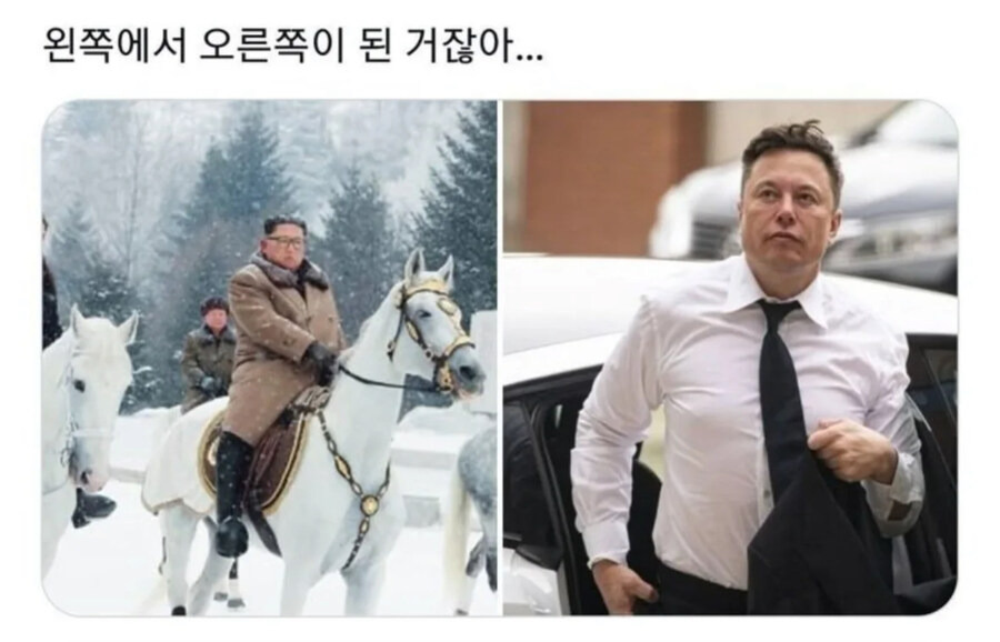 17455597168612.jpeg