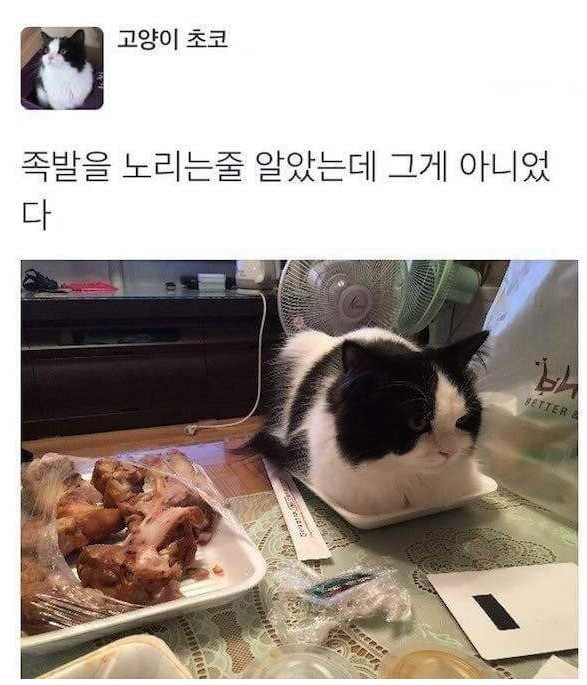 17455600012752.jpeg