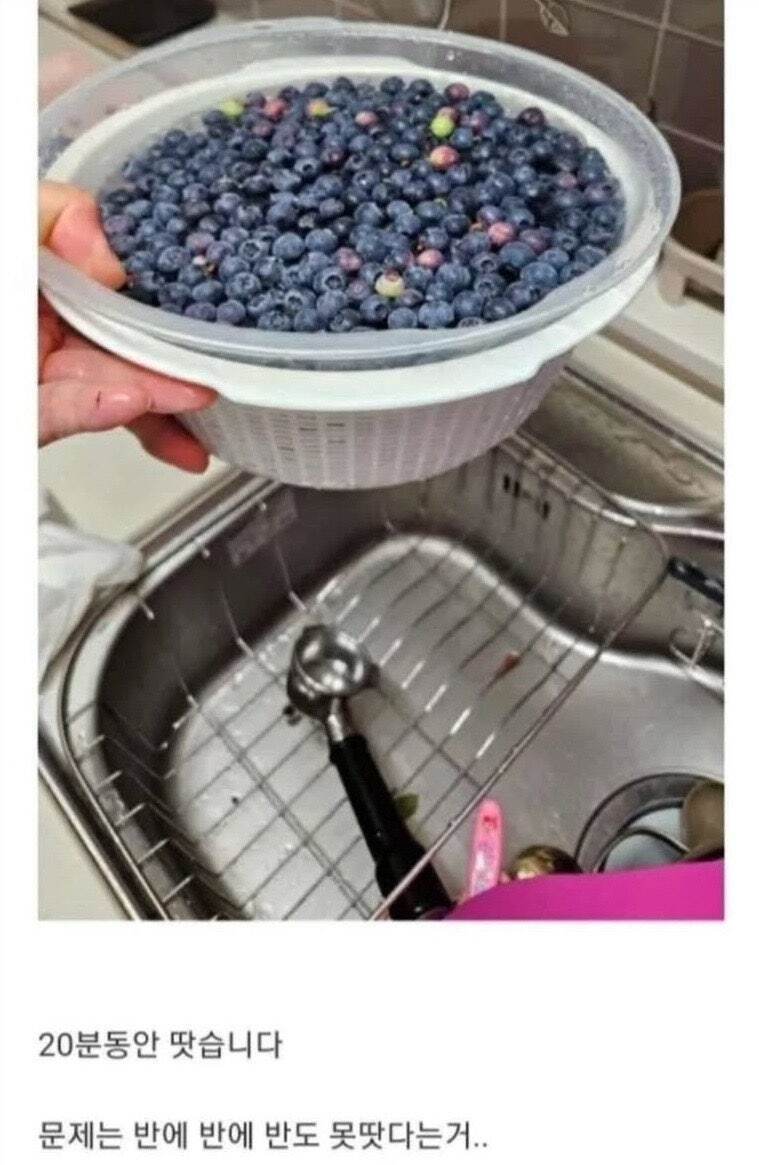 1745560221173.jpeg