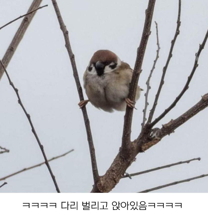 17455765954755.jpeg