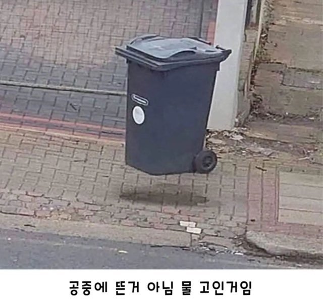 17455767639345.jpeg