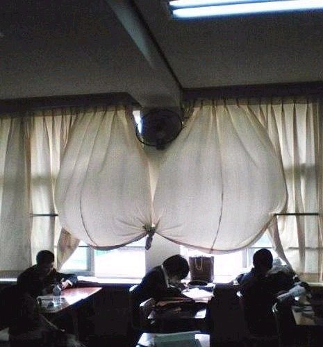 17502269334128.jpeg