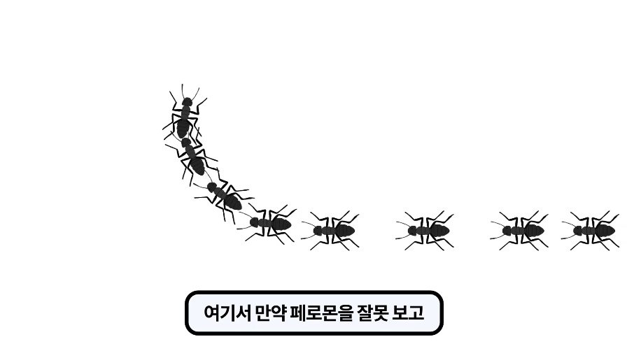 17502285207021.jpeg