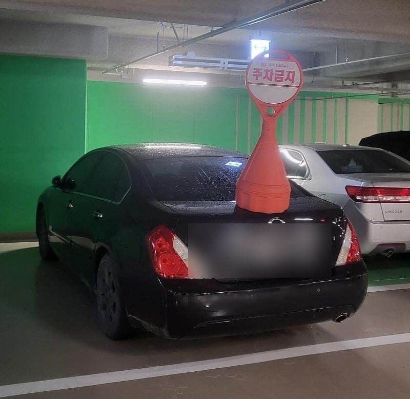 17502287398884.jpeg