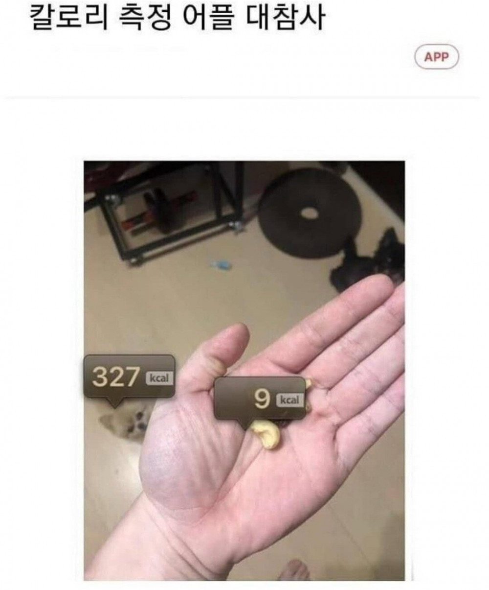 17502321435398.jpeg