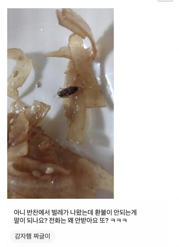 1750232931015.jpeg