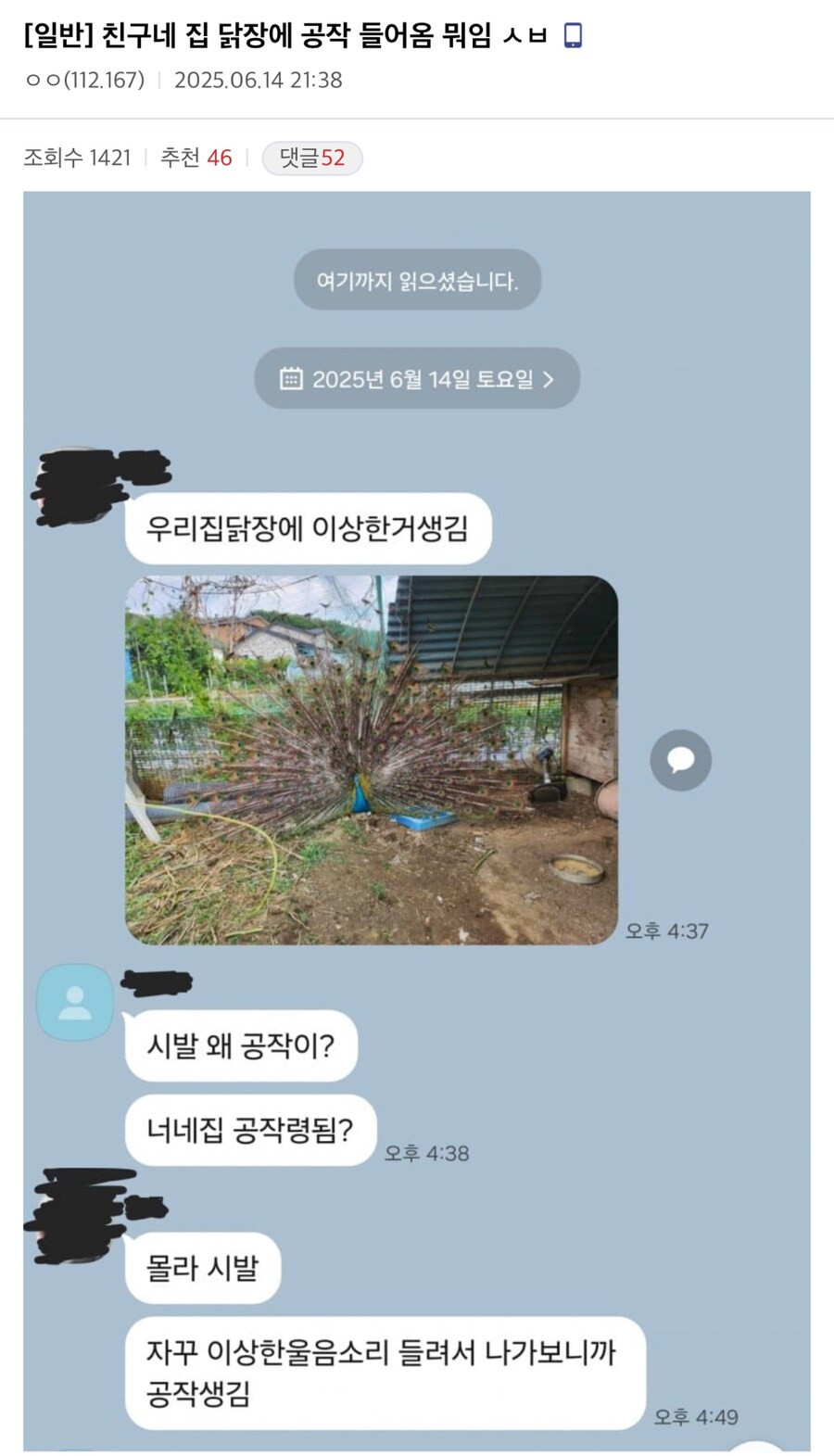 17502338134704.jpeg