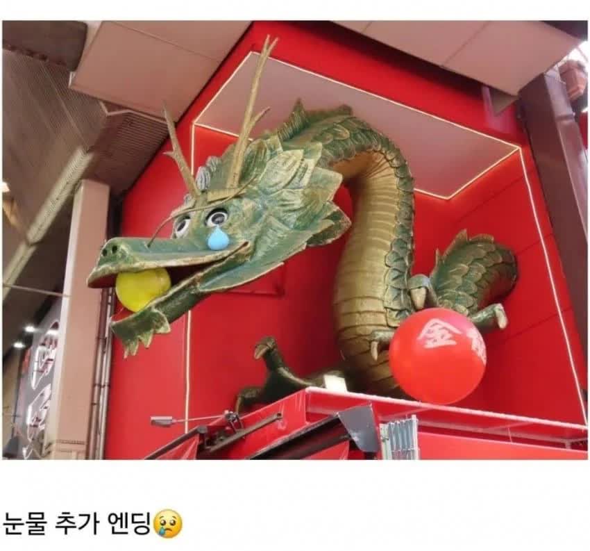 17537727446758.jpeg
