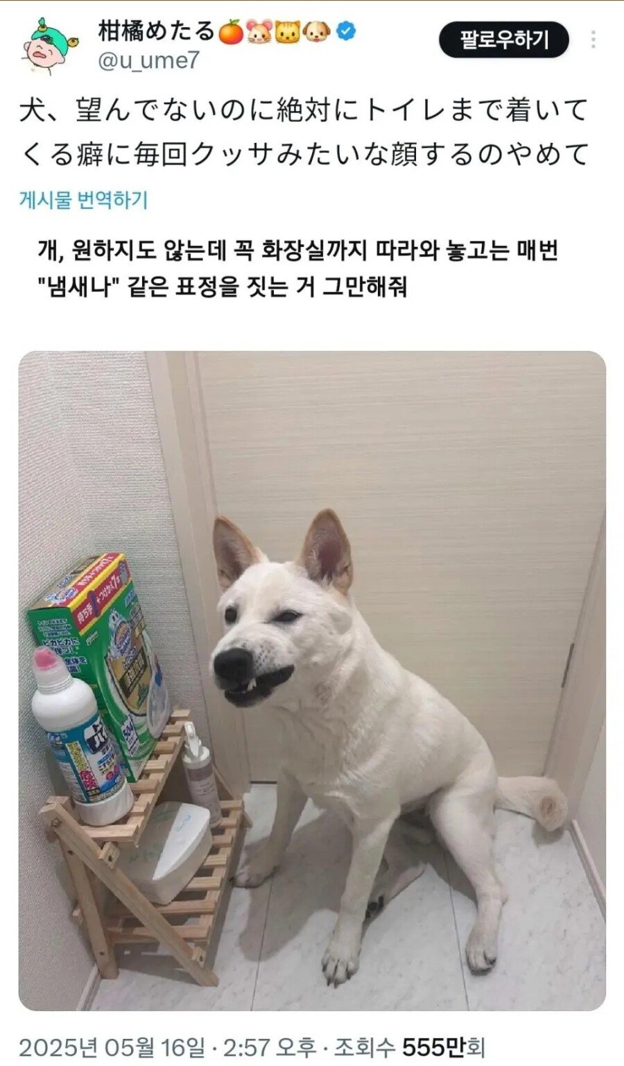 17537731191392.jpeg