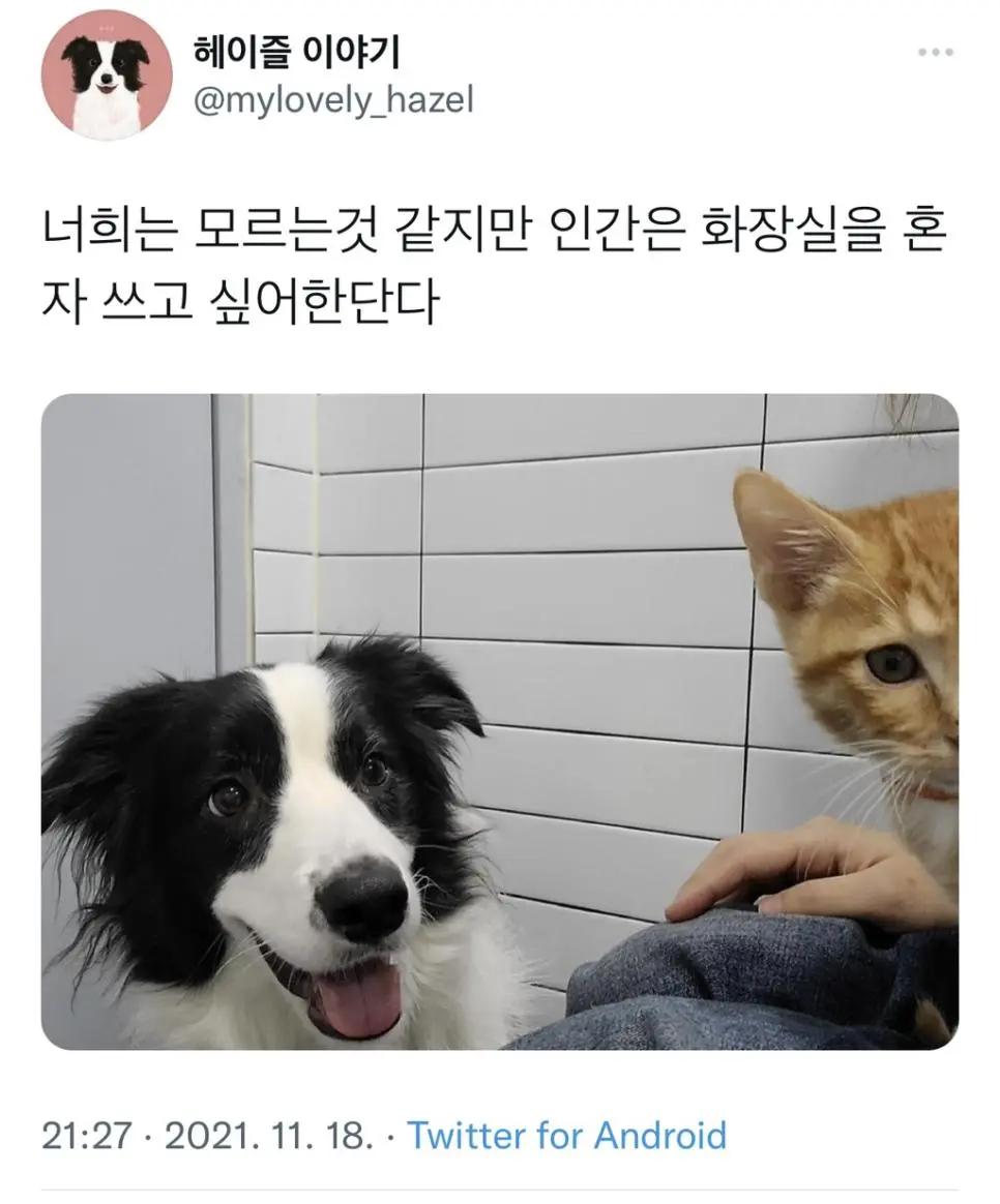 17895399414011.jpeg