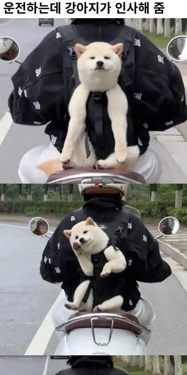 17895401200293.jpeg