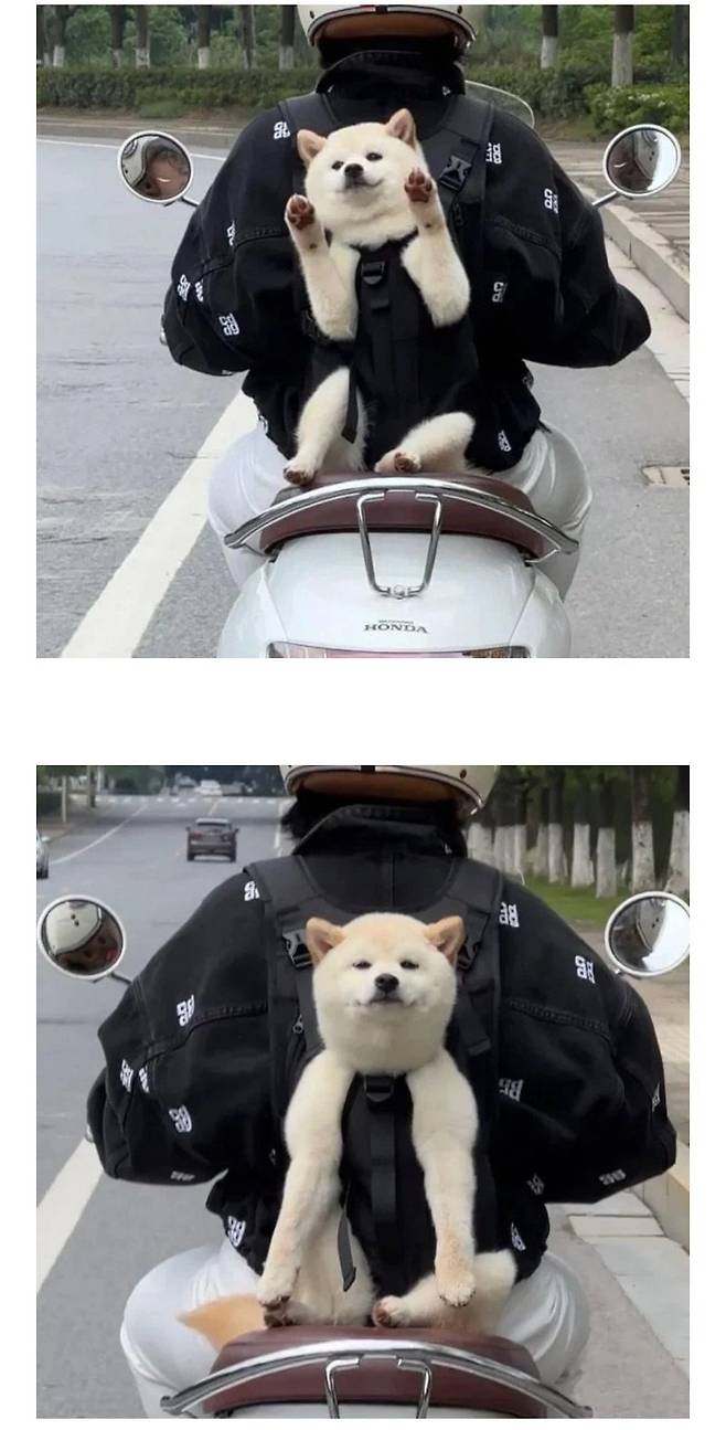 17895401203347.jpeg