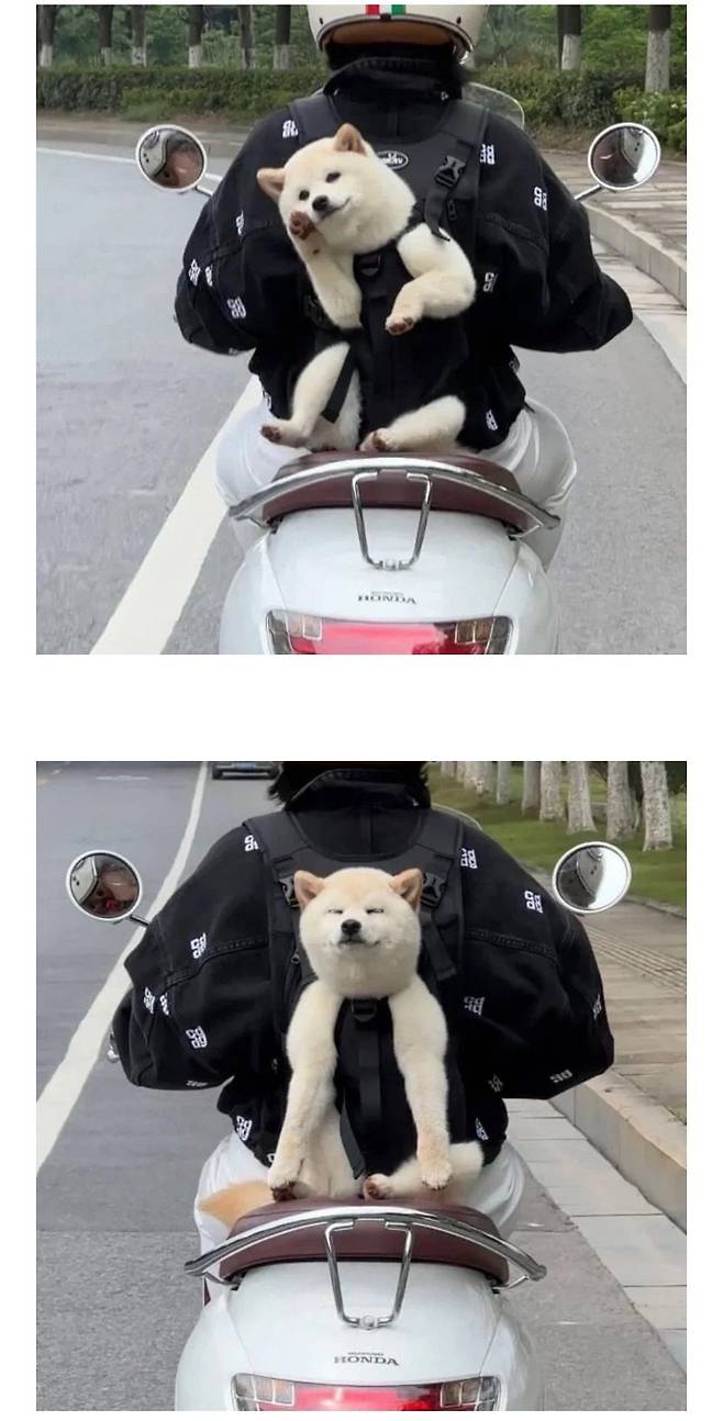 178954012063.jpeg