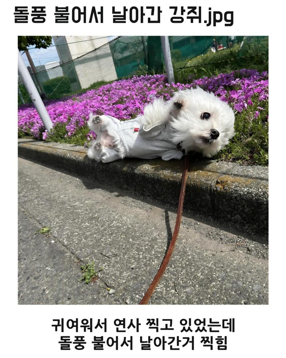 17895397641314.jpeg