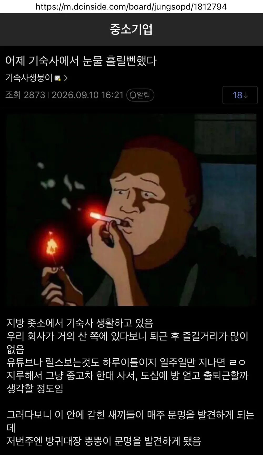 17895410463884.webp