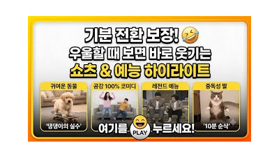 웃기는영상모음#웃음폭발#웃음터지는영상 #현실예능#웃긴동영상