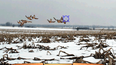 Wing Shooting Championship V1.00