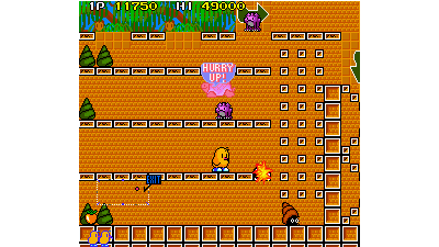 The NewZealand Story (World, newer)