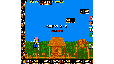 The NewZealand Story (US, old version) (older PCB)