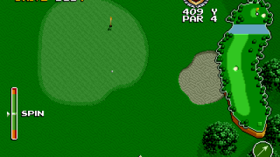 The Irem Skins Game (US set 1)