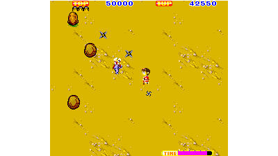 Sega Ninja (315-5102)