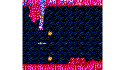 Salamander (version J)