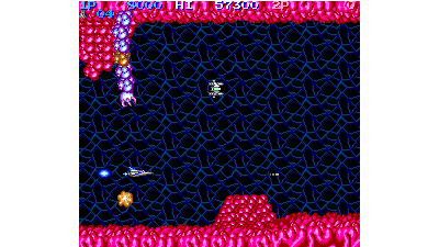 Salamander (version D)