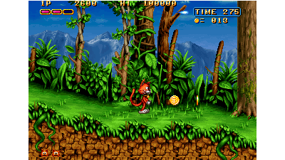 Magical Cat Adventure