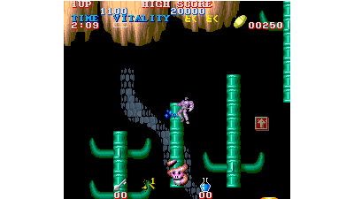 Black Dragon (Japan)