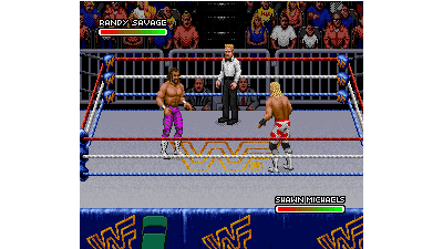 WWF Royal Rumble (Japan)