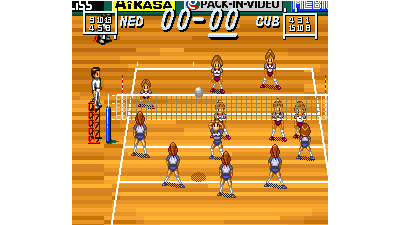 Multi Play Volleyball (Japan)